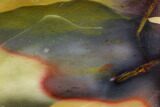 Polished Mookaite Jasper Slab - Australia #110273-1